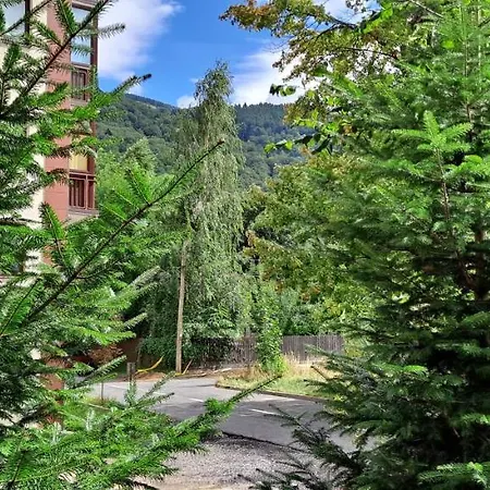 Relax Sinaia